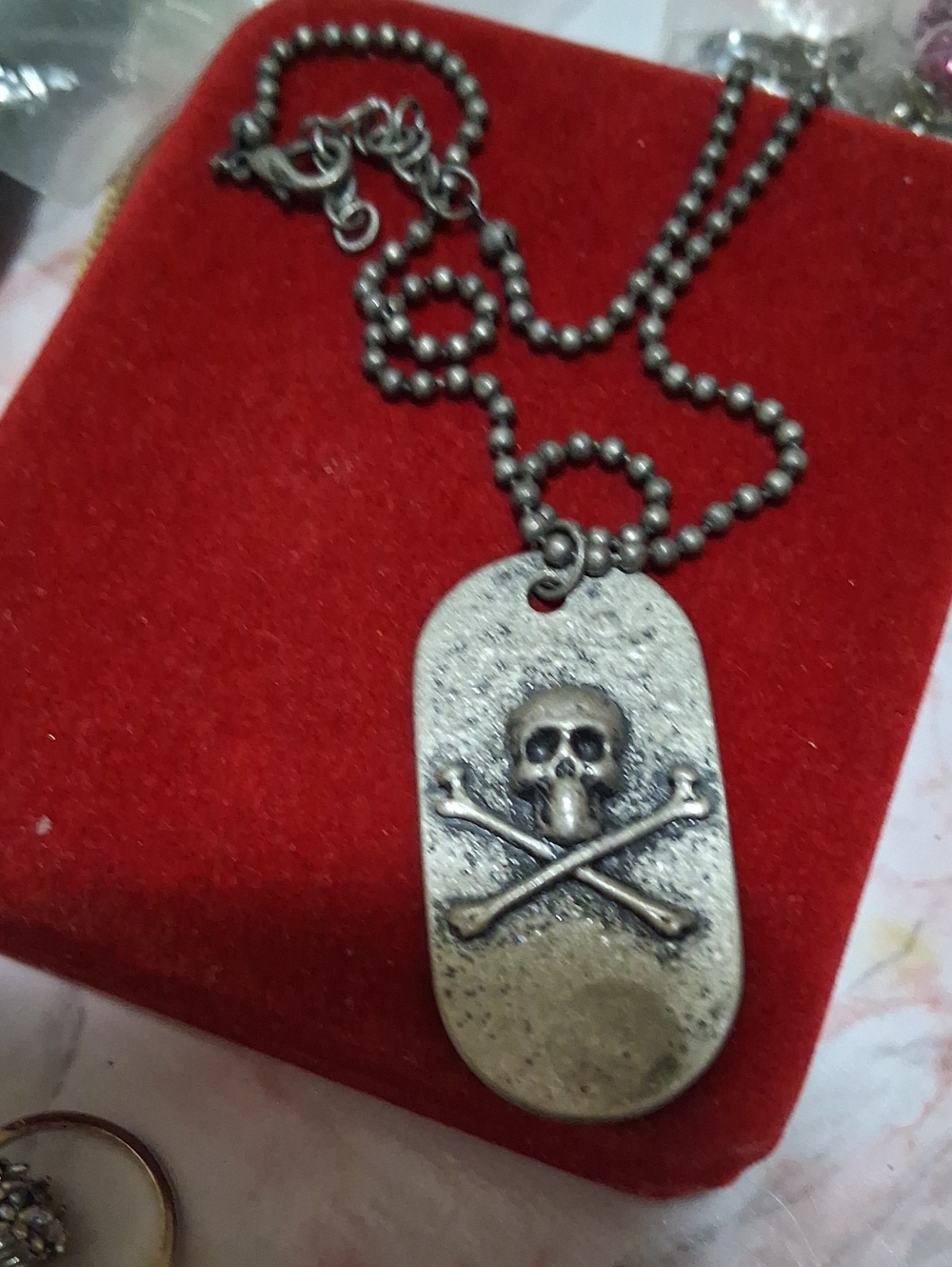 Source Unknown Silver Skull & Crossbones Dog Tag Necklace